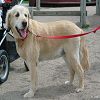 Et puis, il y a des copains sympas ici. 2006-06-03