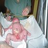 Sur la table chauffante.
2005-05-04