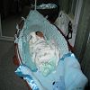 C'est pas mal pour dormir.
2005-05-19