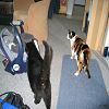 Bonjour Arth�mise !
2005-05-08