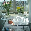 Profitons du soleil et des fleurs.
2005-05-06