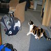 Bonjour Shiva !
2005-05-08
